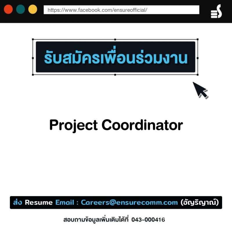 Project Coordinator